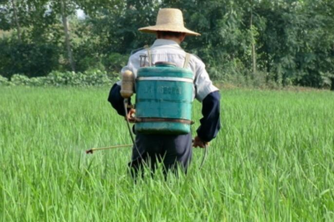 農(nóng)用無人機，飛防服務(wù)，植保無人機